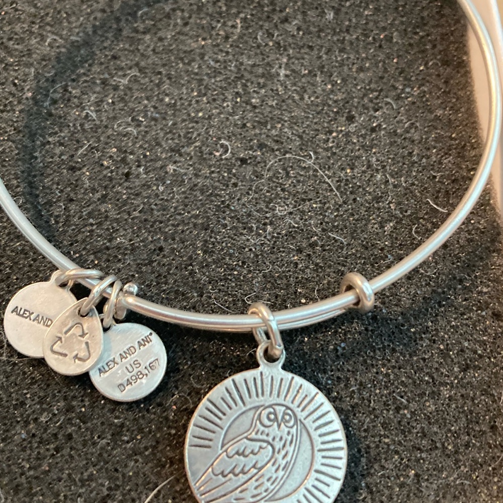 Alex and Ani Teacher/ Knowledge bracelet - Picture 2 of 2